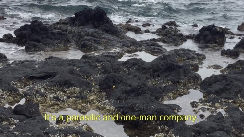 참고로 말씀드리면