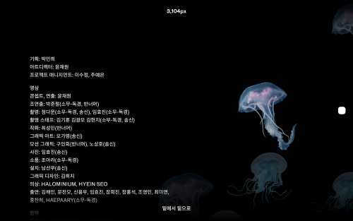 해파리