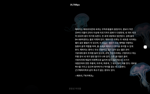 해파리