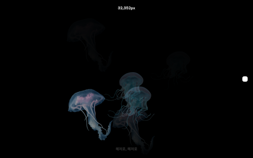 해파리