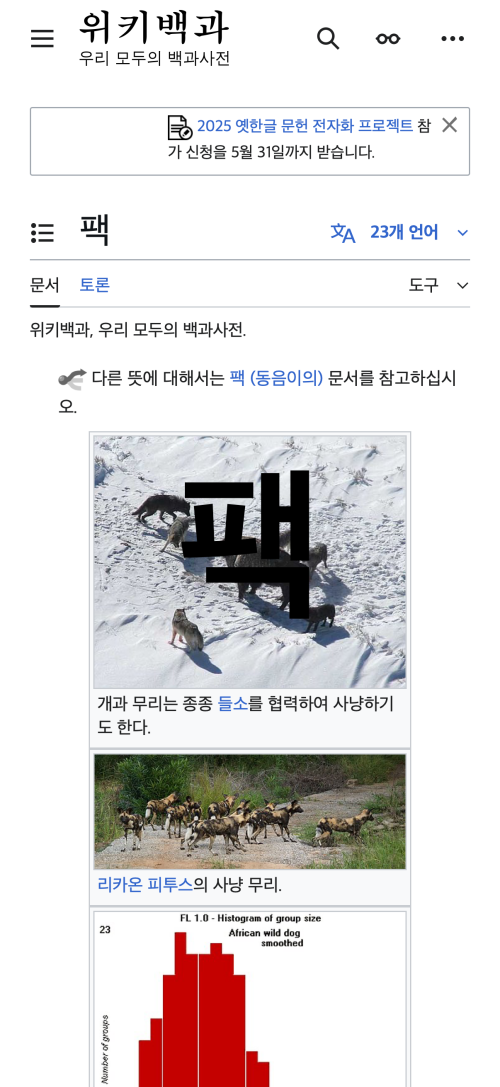 What Happened on Wikipedia
