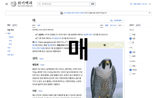 What Happened on Wikipedia